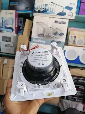 In-Wall/Inceiling Speaker