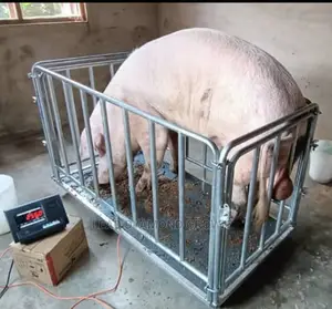 Pigs/Cows/Cattles Platform Scale