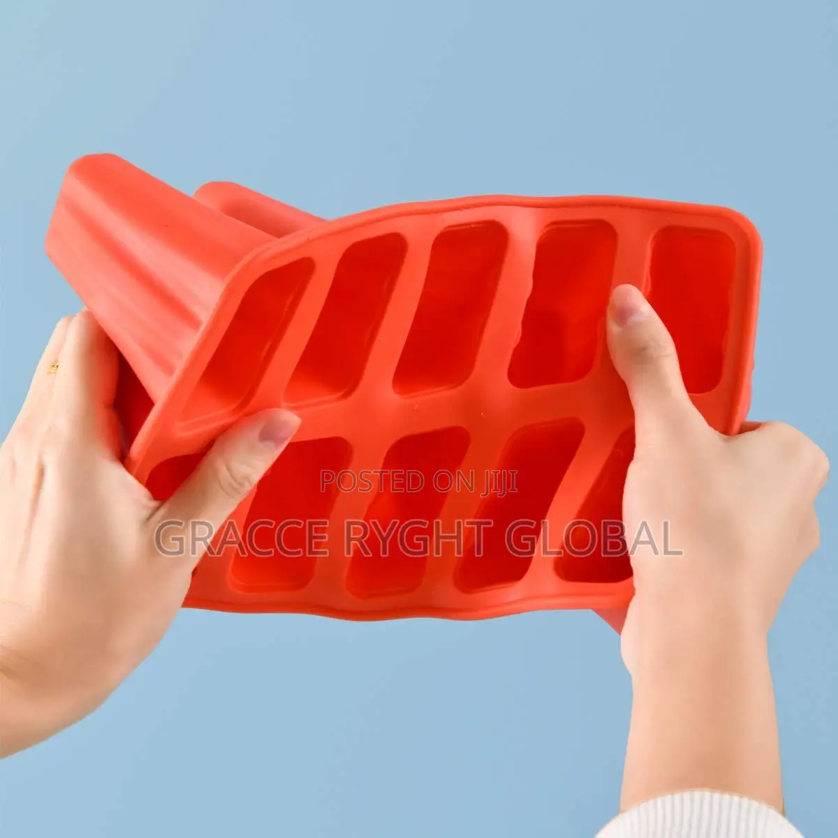 10 Grid Popsicle Mold