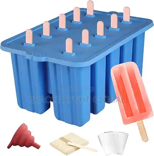 10 Grid Popsicle Mold