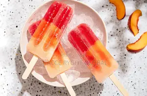10 Grid Popsicle Mold