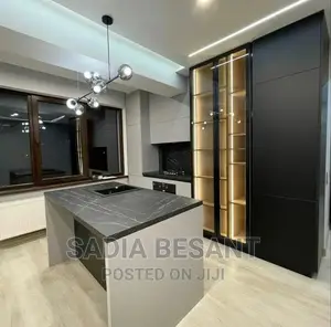 Luxury Kitchen Cabinet Design With Accessories