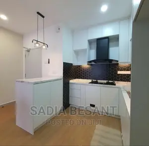 Contemporary Kitchen Cabinet Design With Accessories