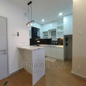 Contemporary Kitchen Cabinet Design With Accessories