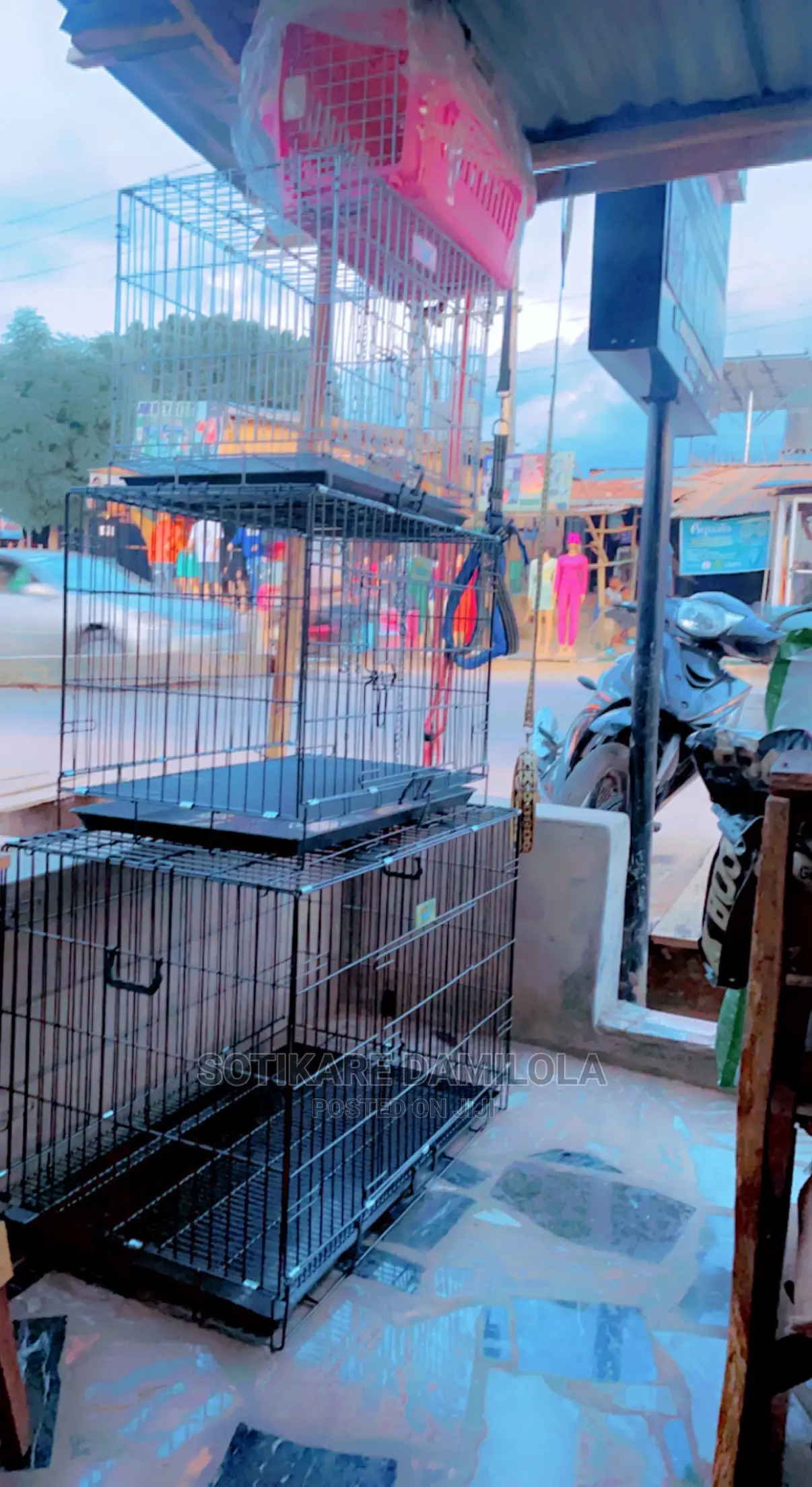 Dog Cages for Your Pet Cat