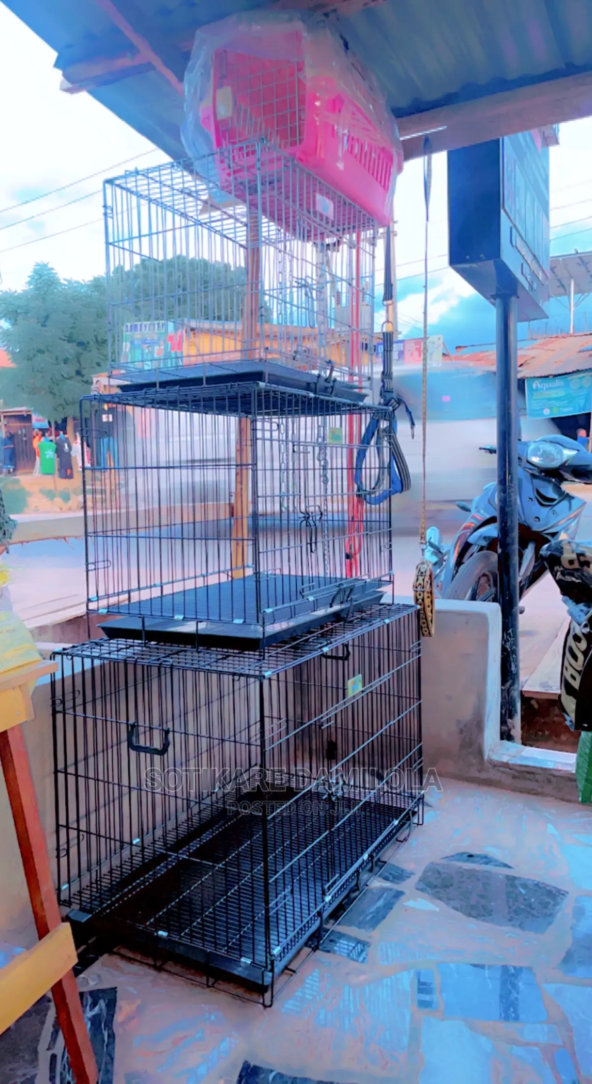Dog Cages for Your Pet Cat