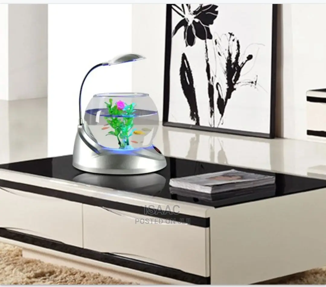 Lovely Bowl Aquarium