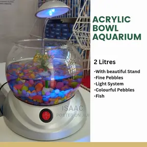 Lovely Bowl Aquarium