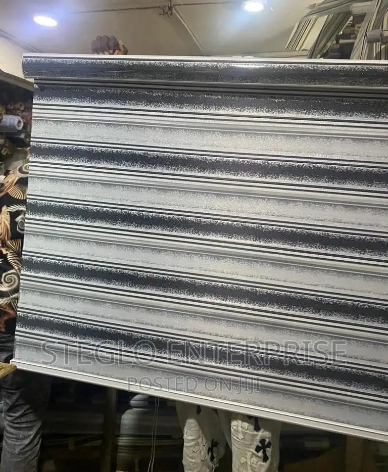 Motorized and Manual Blinds