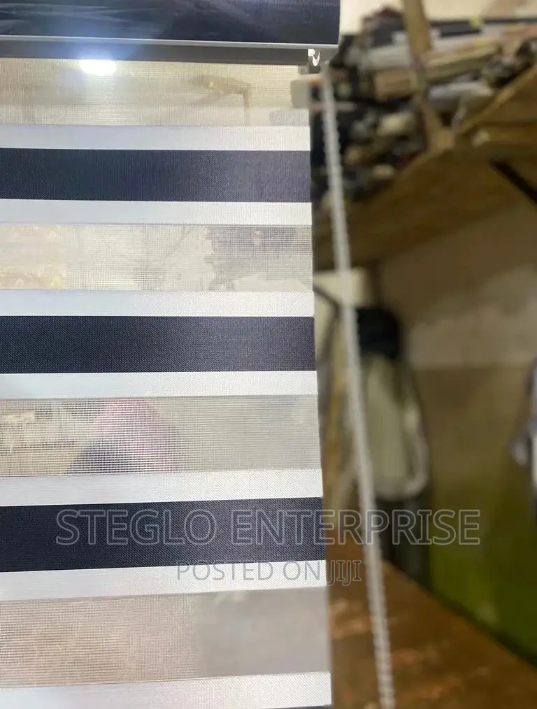 Motorized and Manual Blinds