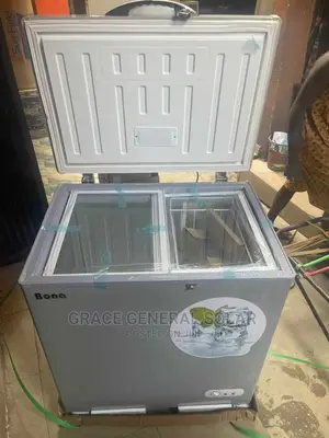 Bona Ac/Dc 168litres Deep Freezer