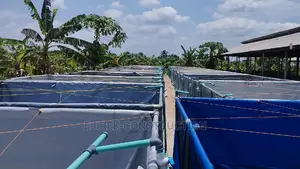 Mobile Fish Pond