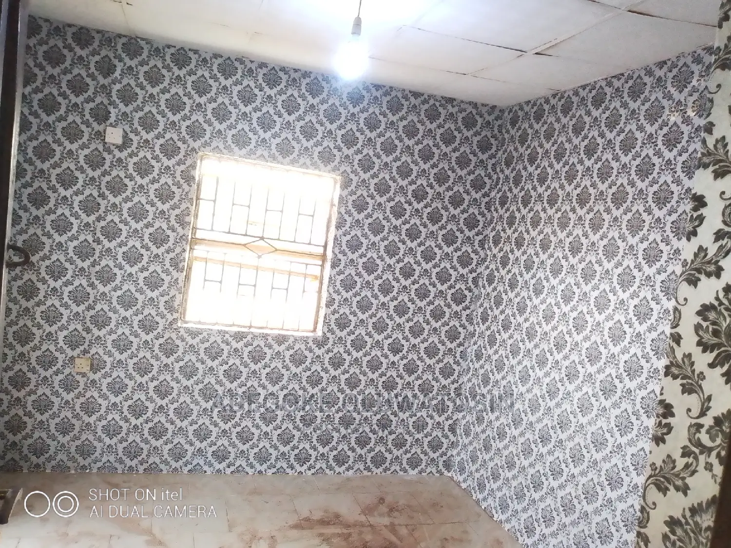 Professional Painter and Wallpaper Installer