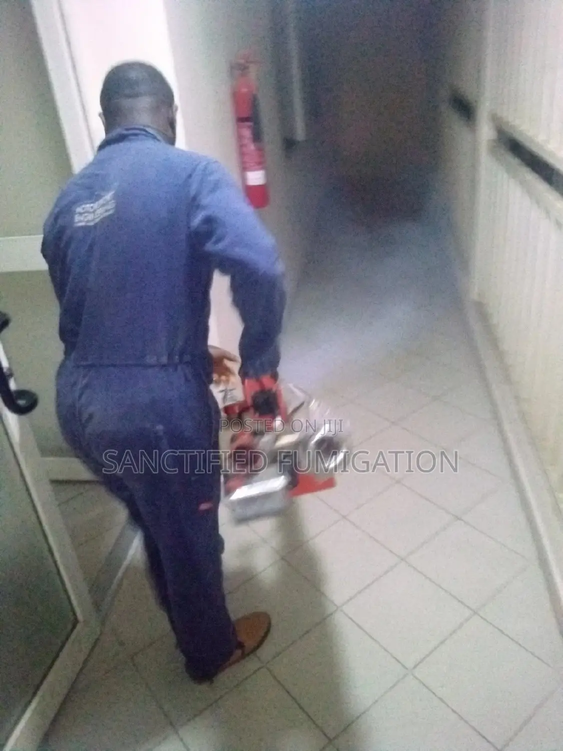 Roaches Fumigation Proff