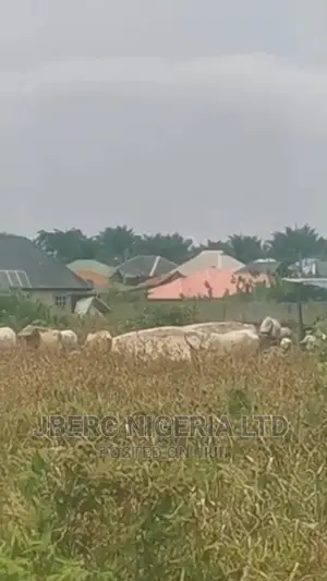 Plots of Land With Excision for Sale in Ajah