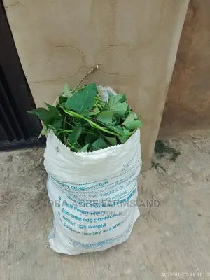 Sweet Potato Vines (25/50kg Sacks)