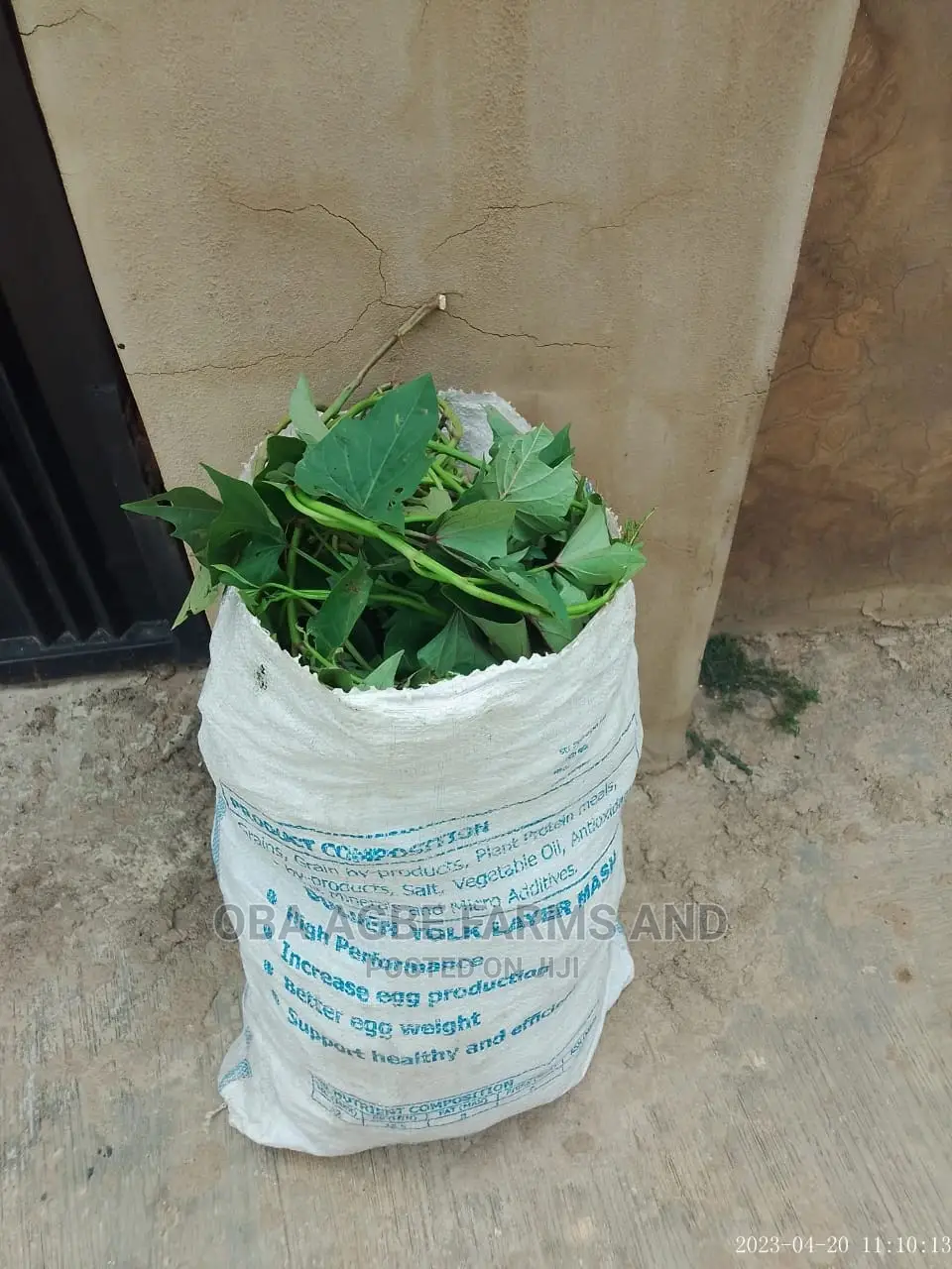 Sweet Potato Vines (25/50kg Sacks)