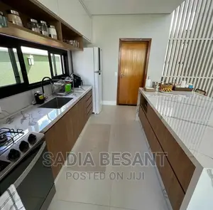 Contemporary Kitchen Cabinet Design With Accessories