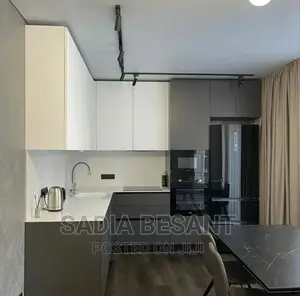 Contemporary Kitchen Cabinet Design With Accessories