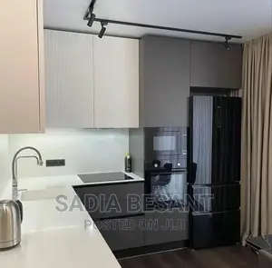 Contemporary Kitchen Cabinet Design With Accessories