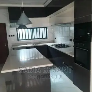 Contemporary Kitchen Cabinet Design With Accessories