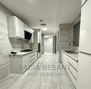 Luxury Kitchen Cabinet Design With Accessories