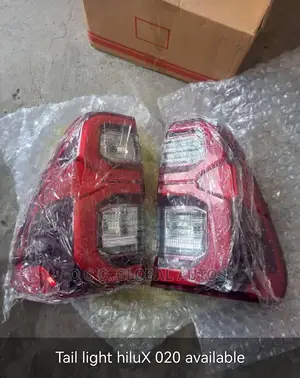 Back Lamp Hilux 0,20