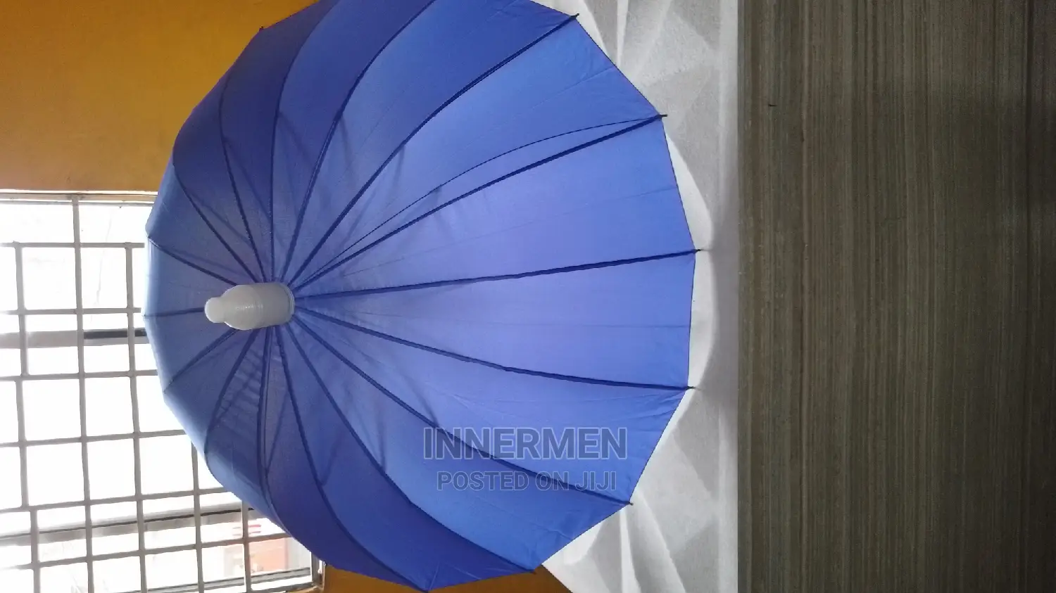 Umbrella With Case