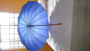 Umbrella With Case