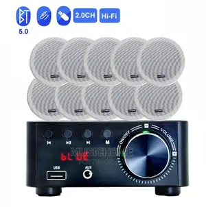 Digital Bluetooth Amp With 10pcs of in-Ceiling Speaker