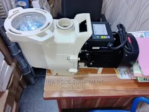 Swimming Pool Pump Choice