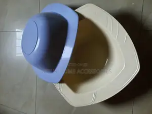 2pcs Fancy Ceramic Bowls