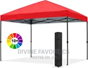 10ft X 10 Foldable Canopy/ Gazebo