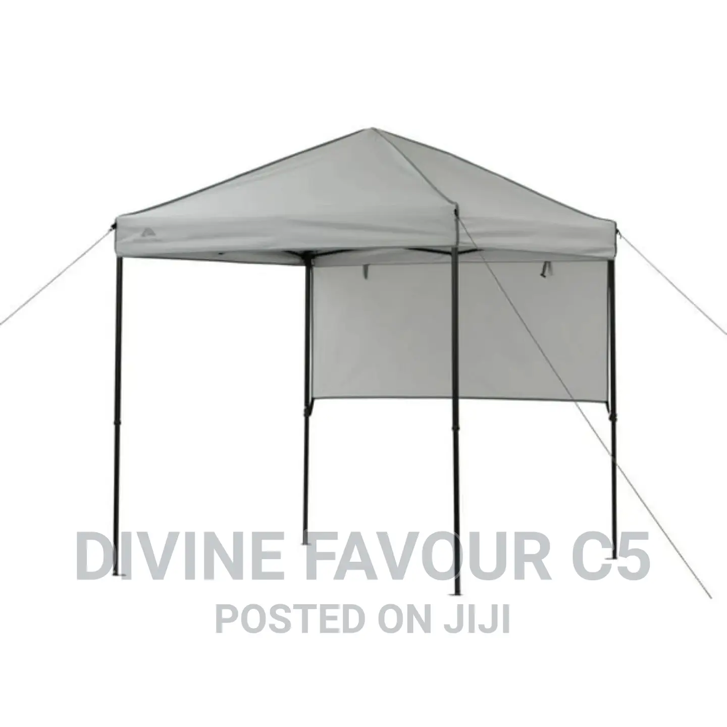 6x6 Foldable Canopy/ Gazebo