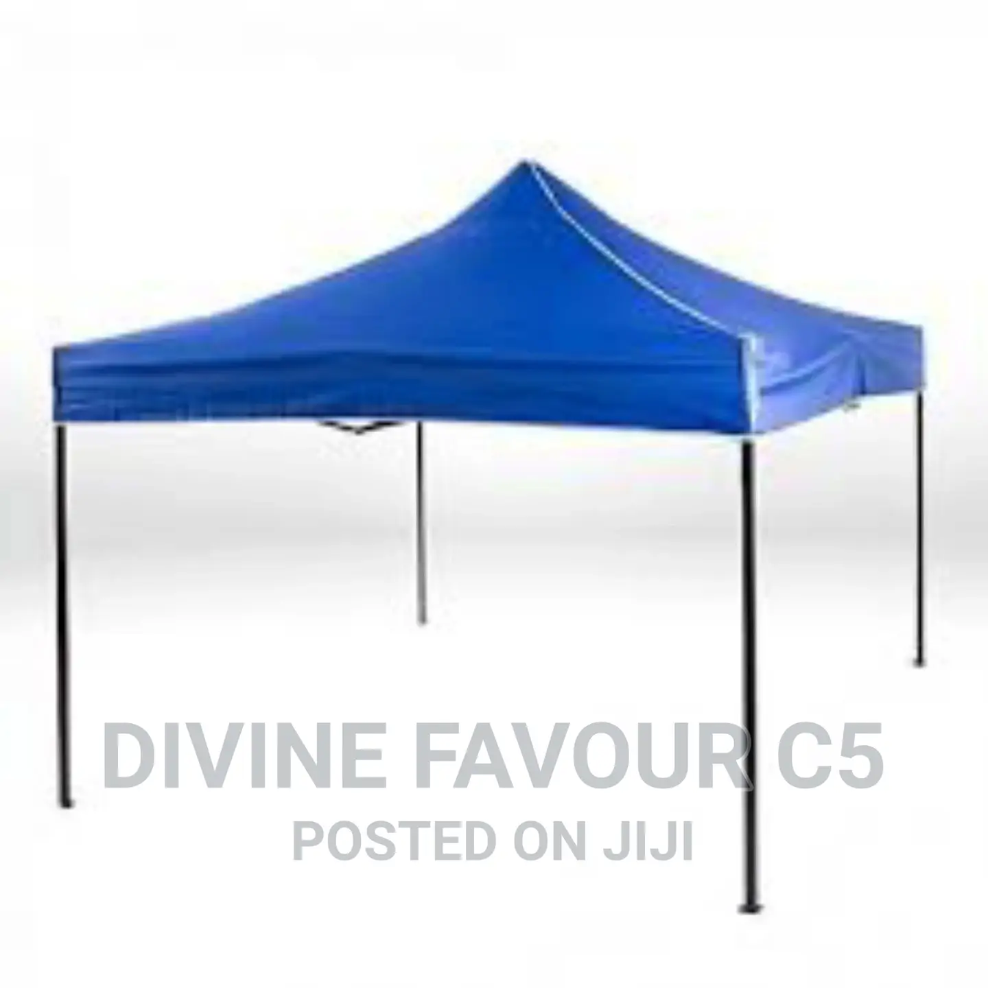 10x10 Foldable Canopy/ Gazebo