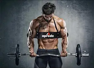 Arm Blaster for Biceps and Curling