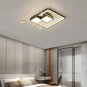 Modern LED Ceiling Light