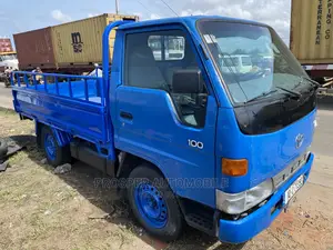 Toyota Dyna 100.