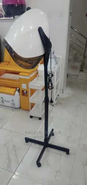 Standing Mango Hair Dryer