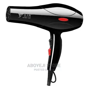 Hair Dryer With Accessories