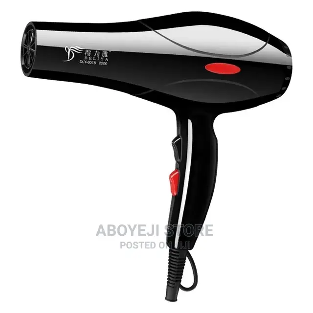 Hair Dryer With Accessories