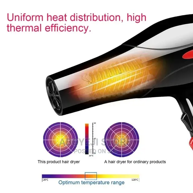 Hair Dryer With Accessories