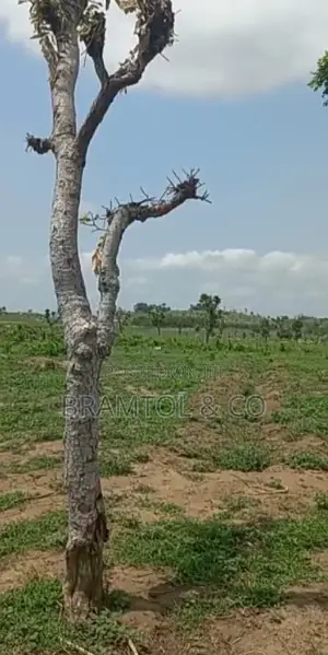 Quick Sale: Flat 2200sqm Rofo Plot in Kyami