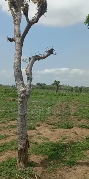 Quick Sale: Flat 2200sqm Rofo Plot in Kyami