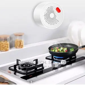 Smart Wifi Combustible Gas Detector