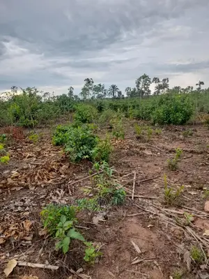 2 Plots of Land for Sale