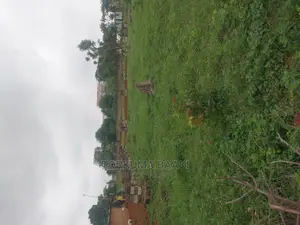 2030 Square Metres of Land for in Dape