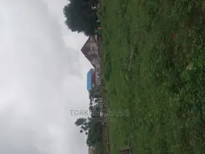 2030 Square Metres of Land for in Dape