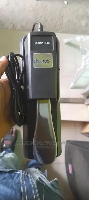 Sustain Pedal