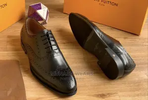 Louis Vuitton Luxury Shoe